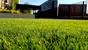 Herbe, gazon, champ, prairie, pelouse…