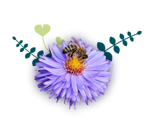 Activités jardinage enfant