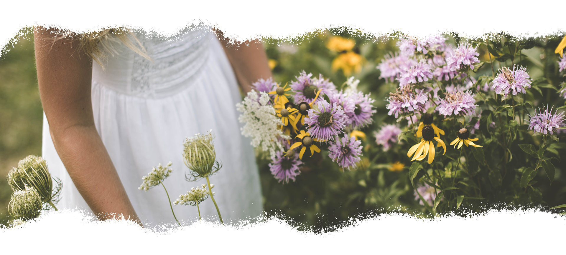 Cultivons notre jardin