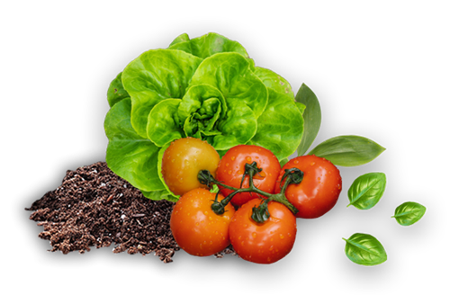 Faire mon potager