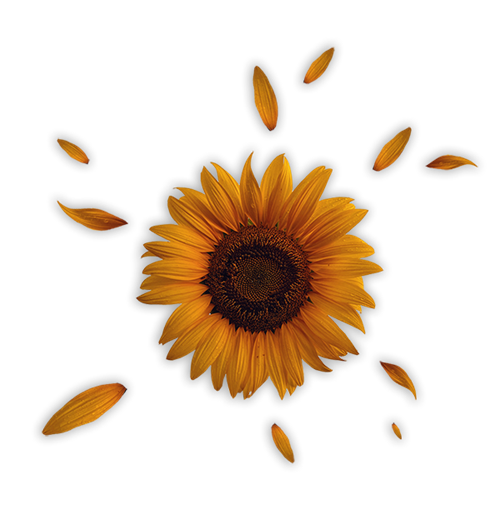 Cultivons notre jardin